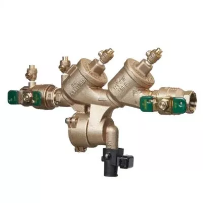 F065376 (Watts) | 2 LF919-QT-FS | Lead Free | Npt