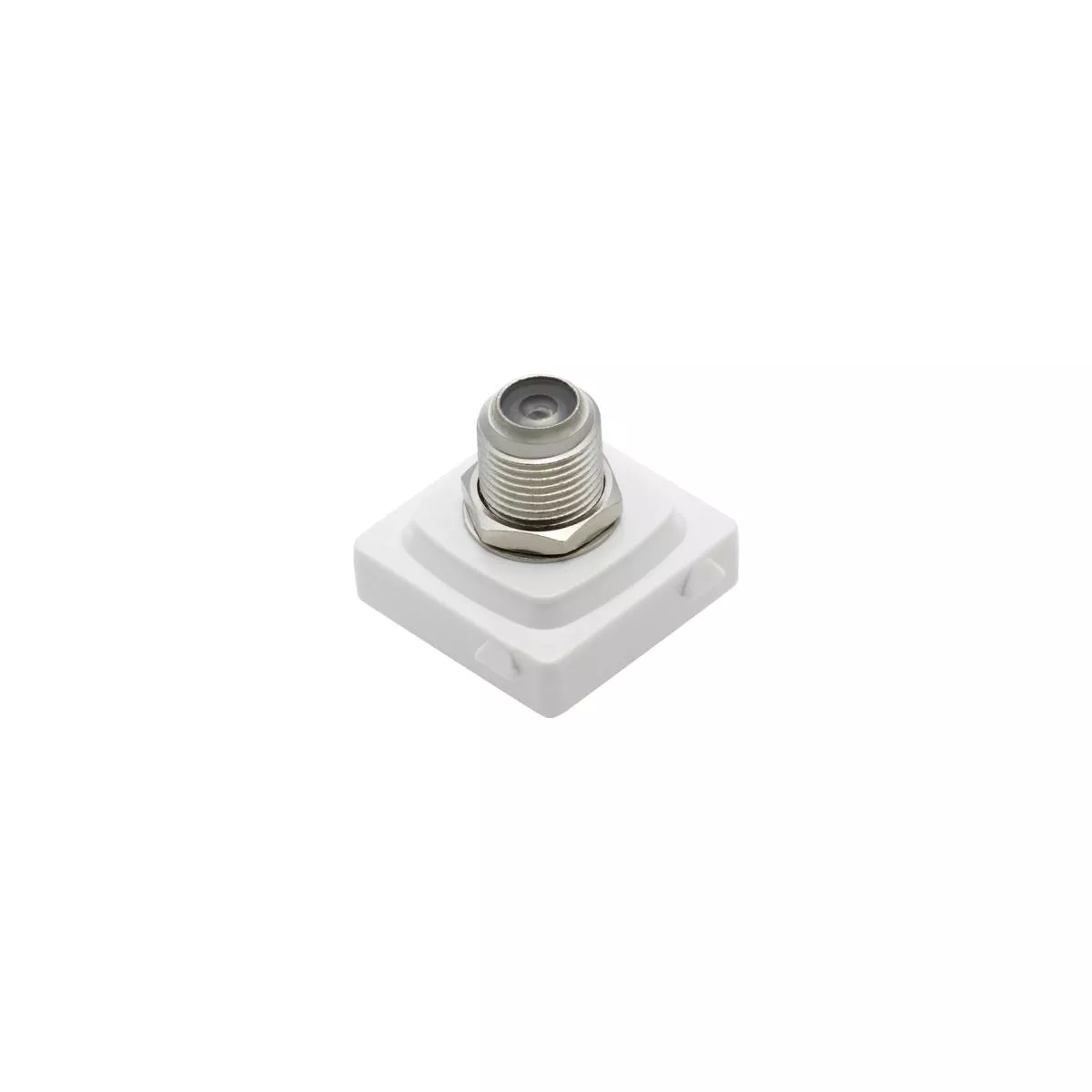 Pay TV Socket White